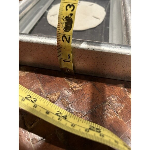 Framed Natural Starfish & Sand Dollar Set 15” X 9” Nautical Beach House Decor - Picture 5 of 6